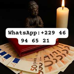 +229 46 94 65 21 le vrai portefeuille magique en dollars, vrai portefeuille magique, un référenceur à Fort de France